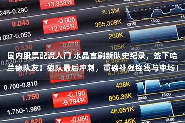 国内股票配资入门 水晶宫刷新队史纪录，签下哈兰德队友！狼队最后冲刺，重磅补强锋线与中场！