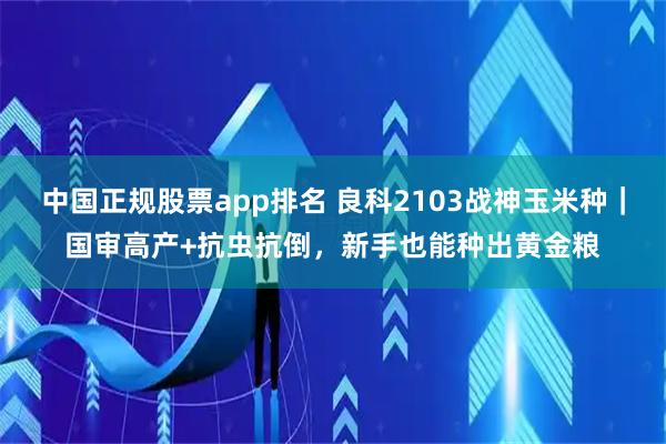 中国正规股票app排名 良科2103战神玉米种｜国审高产+抗虫抗倒，新手也能种出黄金粮