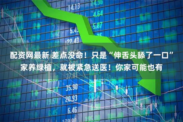 配资网最新 差点没命！只是“伸舌头舔了一口”家养绿植，就被紧急送医！你家可能也有